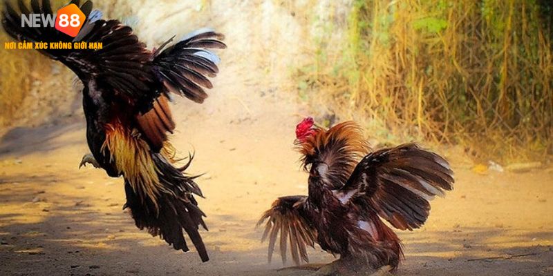 Không nên đầu tư bừa bãi phải đúng thời điểm vàng