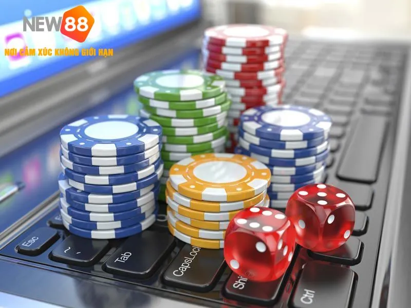 Cách Thức Tham Gia Bài Cẩu